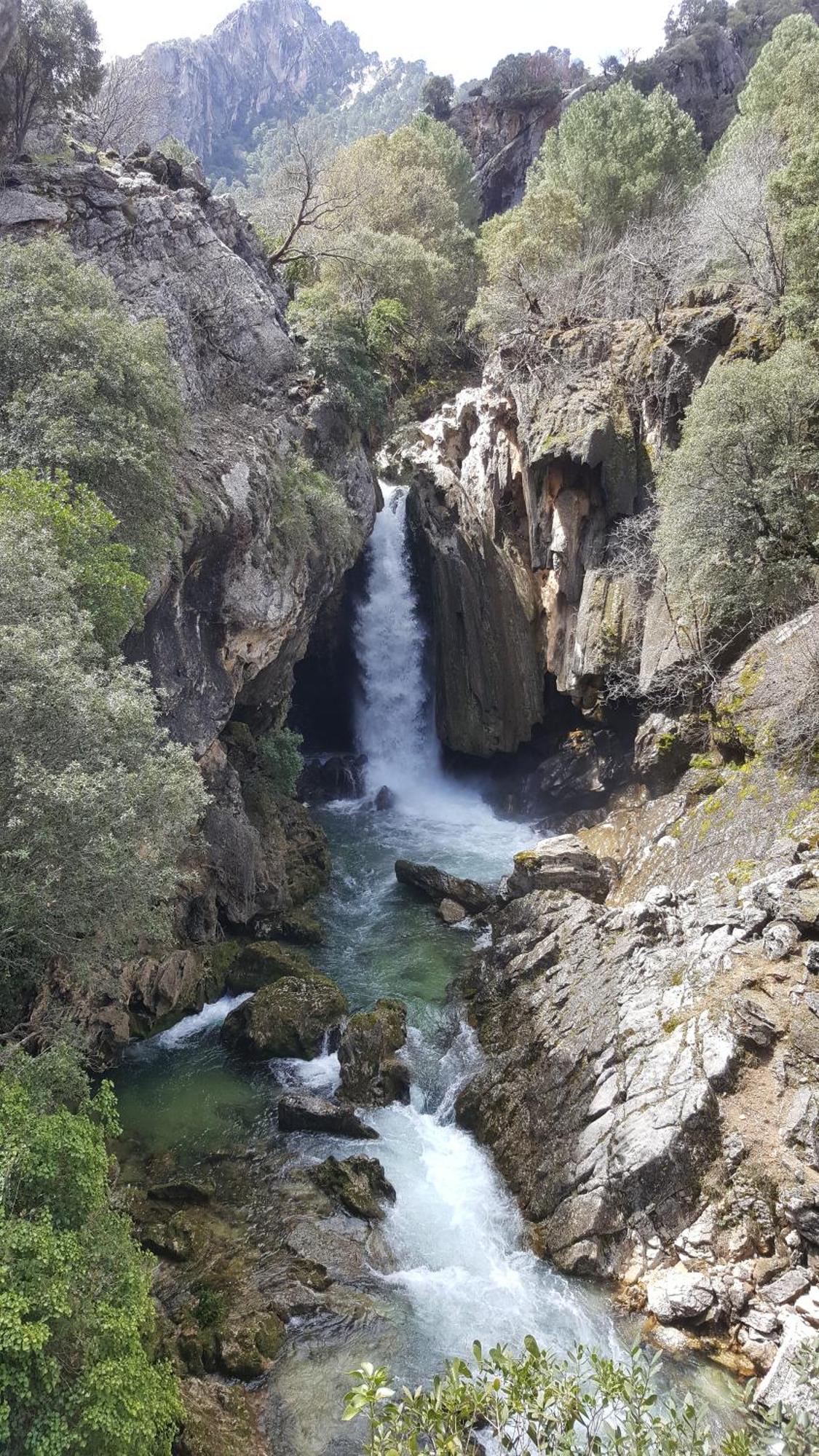 Alojamientos Rurales Navahondona Arroyo Frio Exteriér fotografie