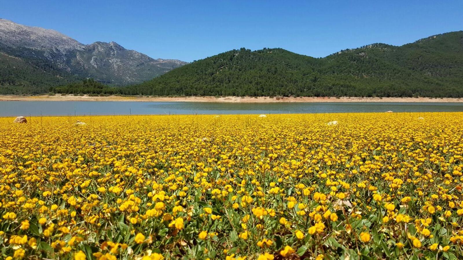 Alojamientos Rurales Navahondona Arroyo Frio Exteriér fotografie